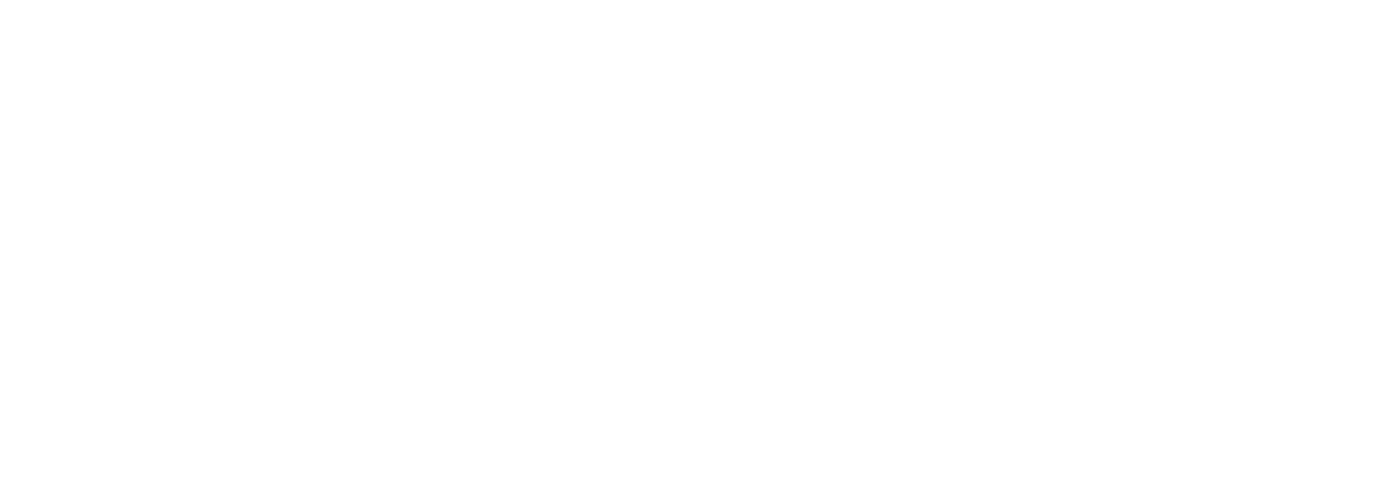 AF_Logo_RGB_POSITIVO_NOVONOR 2
