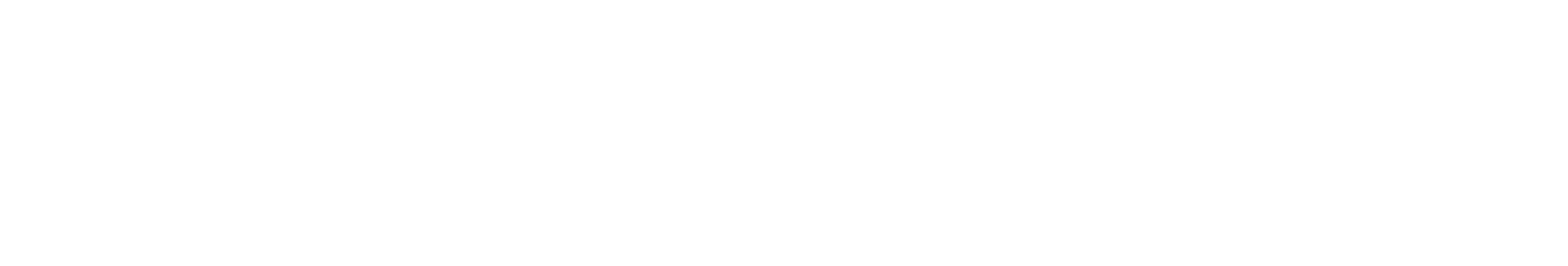 LOGO---SOULTRIX 2